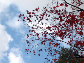 P1010567.JPG